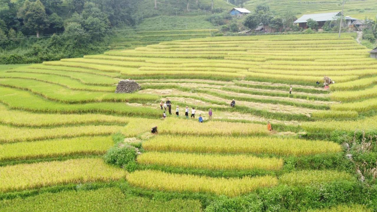 May Homestay Sapa Екстер'єр фото